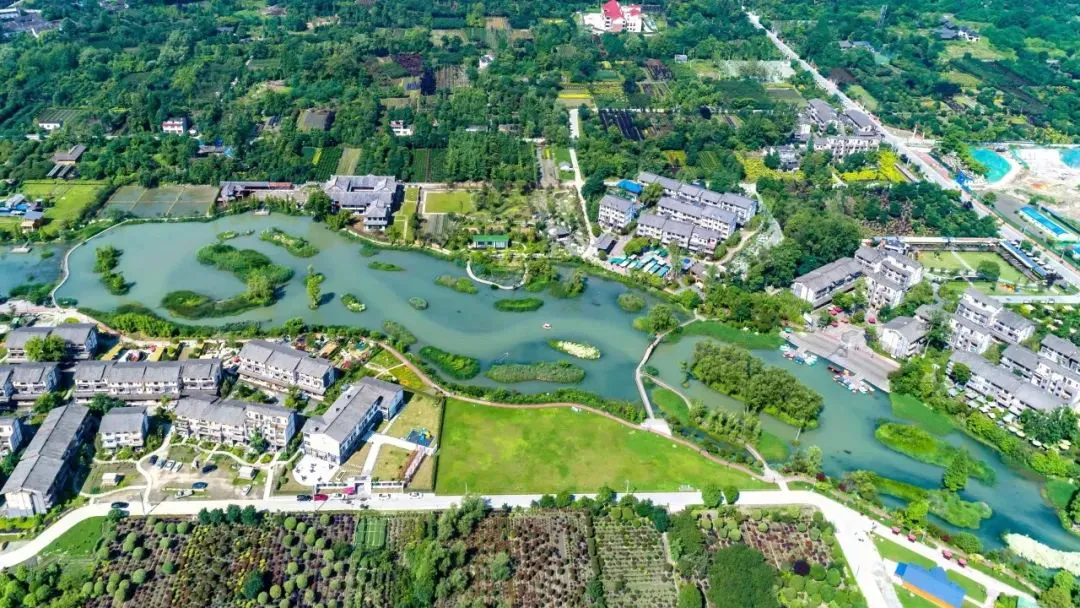 家长如何为孩子选择合适的篮球冬令营?_0